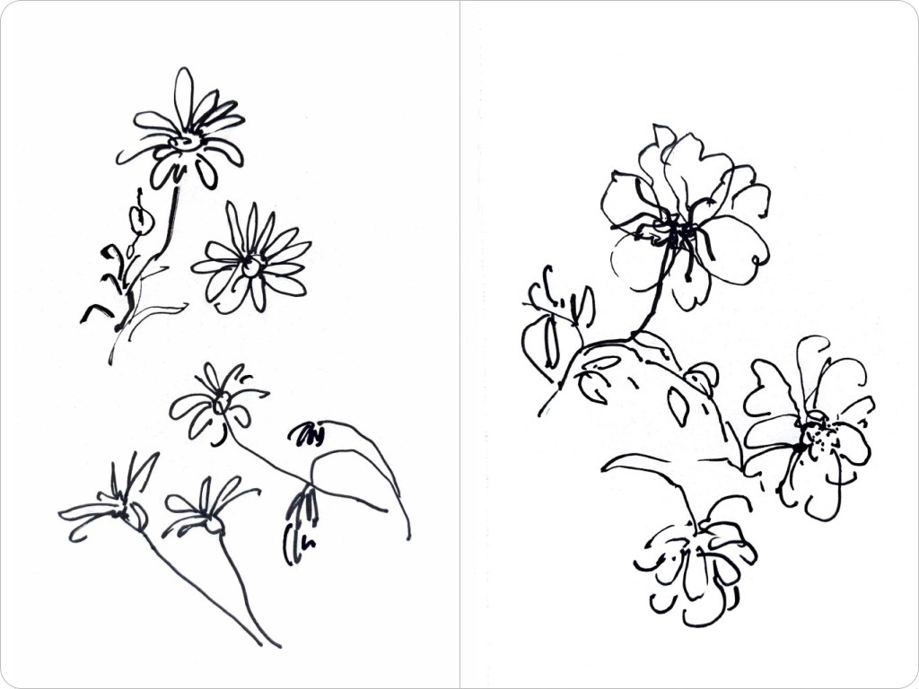 Spring rambles and sketchbook&nbsp;drawings