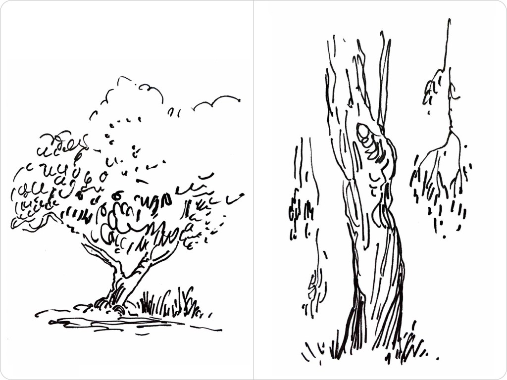 June rambles and sketchbook&nbsp;drawings